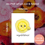 Munchkin Morsels Card size for a card printed on A4 paper, cut down and folded down to an A6 card, that fits in a C6 envelope.